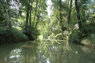 Biodiversité et cours d'eau
